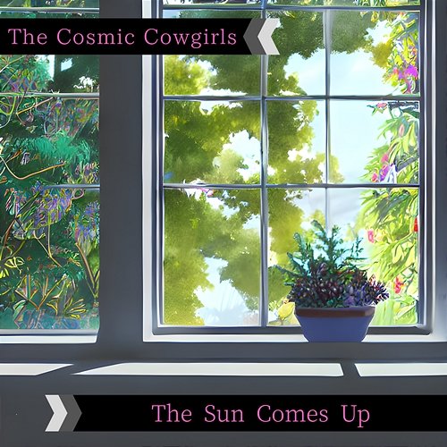 The Sun Comes up The Cosmic Cowgirls