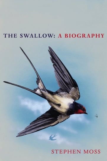 The Swallow: A Biography (Shortlisted for the Richard Jefferies Society and White Horse Bookshop Lit Moss Stephen