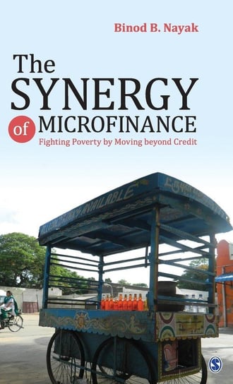 The Synergy of Microfinance Null