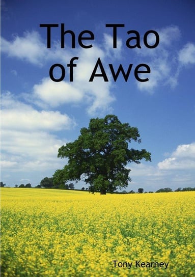 The Tao of Awe Kearney Tony