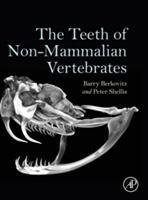 The Teeth of Non-Mammalian Vertebrates Berkovitz Barry K. B., Shellis R. P.
