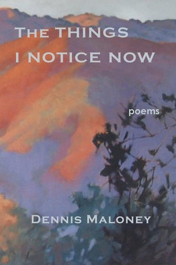 The Things I Notice Now Maloney Dennis