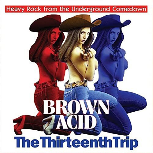 The Thirteenth Trip Various Artists