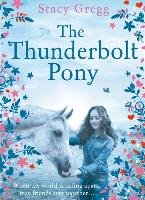The Thunderbolt Pony Gregg Stacy