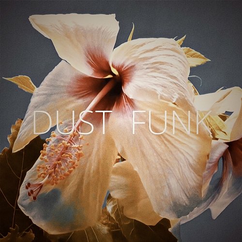 THE TIME Dust funk
