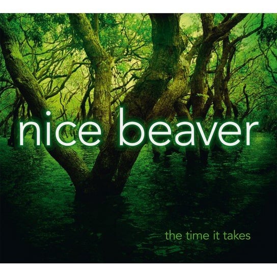 The Time It Takes Nice Beaver