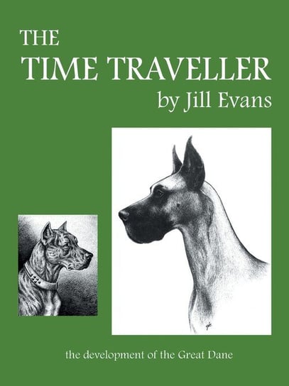 The Time Traveller Evans Jill