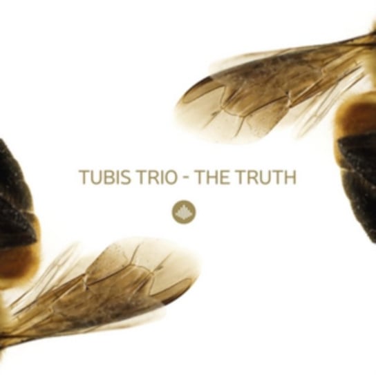 The Truth Tubis Trio, Tubis Maciej