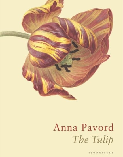 The Tulip: The Story of a Flower That Has Made Men Mad Pavord Anna