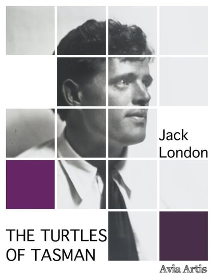 The Turtles of Tasman London Jack