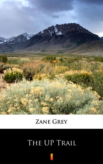 The UP Trail Grey Zane