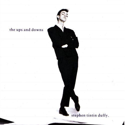 The Ups And Downs Stephen Duffy