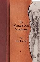 The Vintage Dog Scrapbook - The Deerhound Various