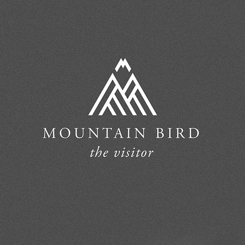The Visitor Mountain Bird