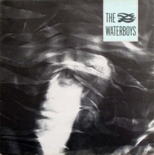 The Waterboys The Waterboys