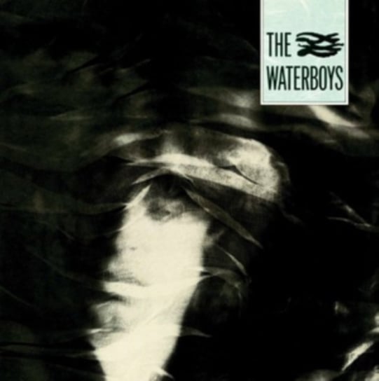 The Waterboys The Waterboys
