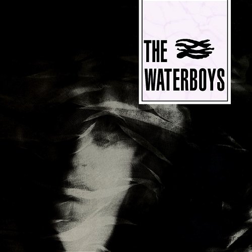 A Girl Called Johnny The Waterboys