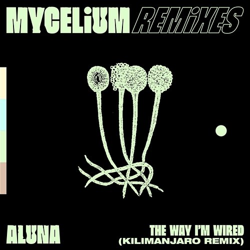 The Way I'm Wired Aluna