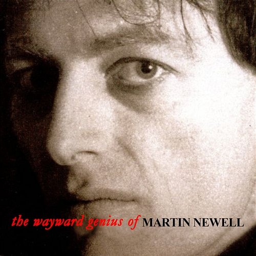 The Wayward Genius Of Martin Newell Martin Newell