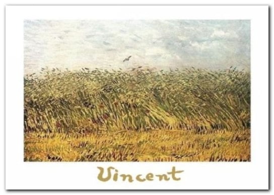 The Wheat Field plakat obraz 70x50cm Wizard+Genius