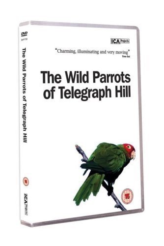 The Wild Parrots Of Telegraph Hill Various Directors