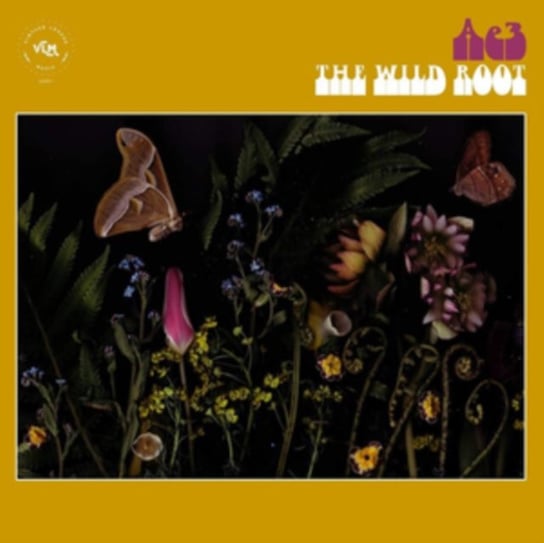 The Wild Root, płyta winylowa Alan Evans Trio