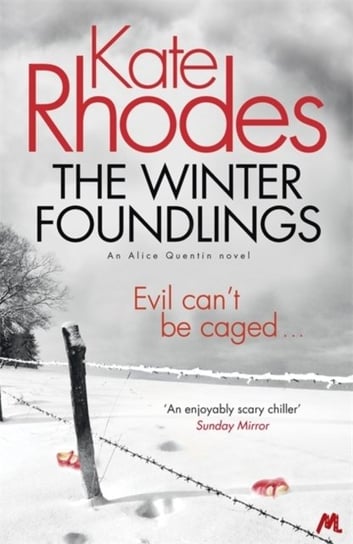 The Winter Foundlings: Alice Quentin 3 Kate Rhodes