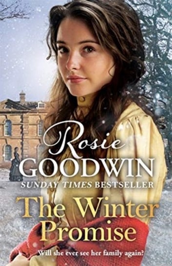 The Winter Promise Rosie Goodwin