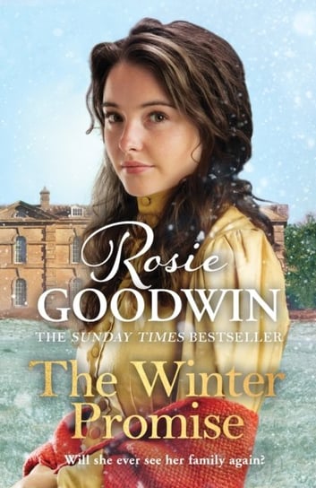 The Winter Promise Rosie Goodwin
