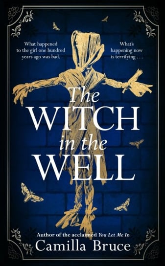 The Witch in the Well: A deliciously disturbing Gothic tale of a revenge reaching out across the years Camilla Bruce