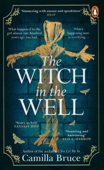 The Witch in the Well Bruce Camilla
