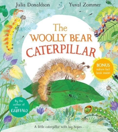The Woolly Bear Caterpillar Donaldson Julia