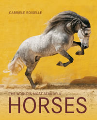The world's most beautiful horses Boiselle Gabriele