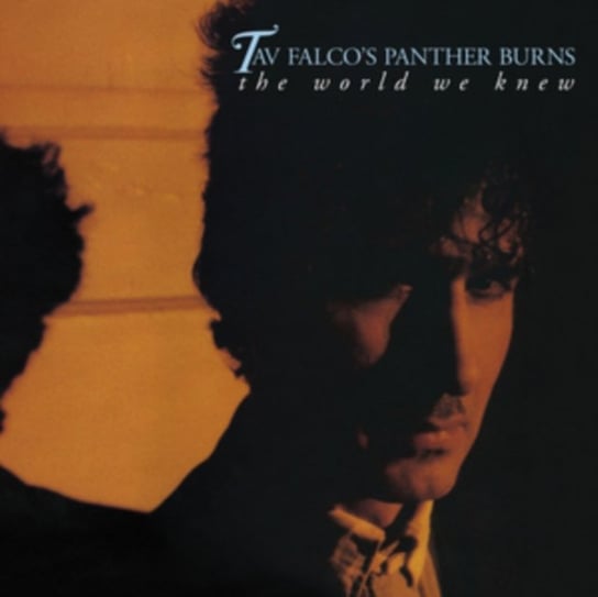 The World We Knew/Shake Rag/Live in Bordeaux Tav Falco's Panther Burns