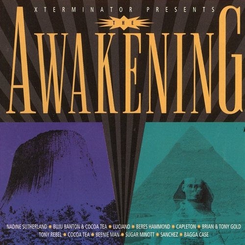 The Xterminator Presents: The Awakening Various Artists