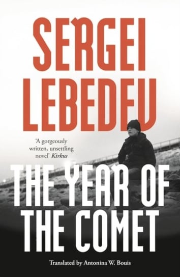 The Year of the Comet Lebedev Sergei