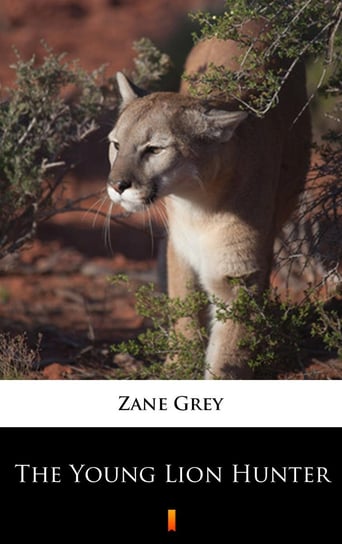 The Young Lion Hunter Grey Zane