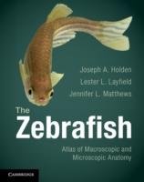 The Zebrafish Holden Joseph A., Layfield Lester L., Matthews Jennifer L.