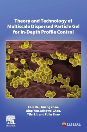 Theory and Technology of Multiscale Dispersed Particle Gel for In-Depth Profile Control Opracowanie zbiorowe