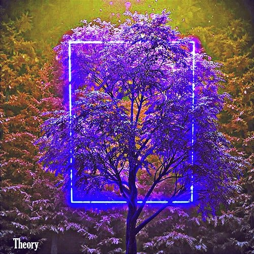 Theory Trisha Boyd