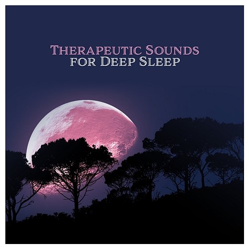 Therapeutic Sounds for Deep Sleep: Audiotherapy, New Age Music for Relaxation and Yoga, Stress Relief, Spa, Pranic Session, Oasis of Dreams, Power of Meditation, Self Healing Various Artists