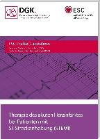 Therapie des akuten Herzinfarktes bei Patienten mit ST-Streckenhebung (STEMI) Boerm Bruckmeier, Brm Bruckmeier Verlag Gmbh