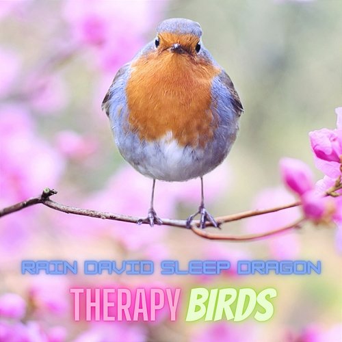 Therapy Birds Rain David Sleep Dragon