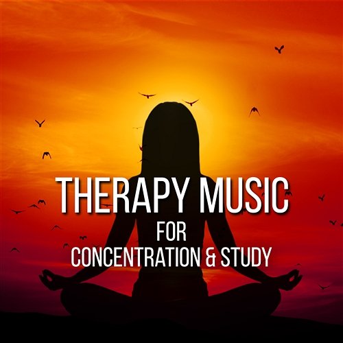 Therapy Music for Concentration & Study: Sounds for Mindfulness Training, Meditate & Focus Study Music Guys