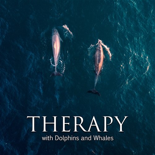 Therapy with Dolphins and Whales: Calm and Deep Underwater Sounds Sound Therapy Masters