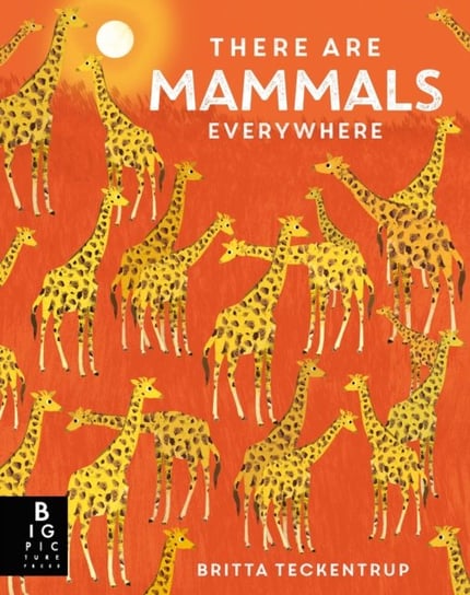 There are Mammals Everywhere Camilla De La Bedoyere