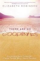 There Are No Goodbyes Robinson Elizabeth