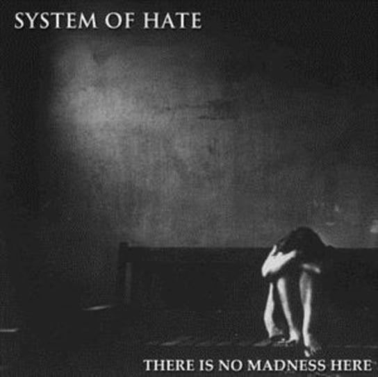 There Is No Madness Here System of Hate