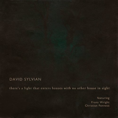 There's A Light That Enters Houses With No Other House In Sight David Sylvian feat. Franz Wright, Christian Fennesz