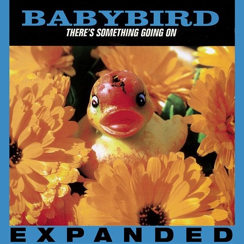 There's Something Going On Babybird